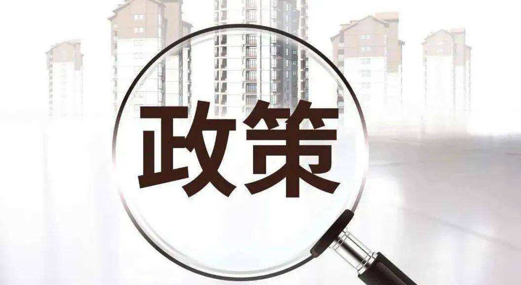 政策